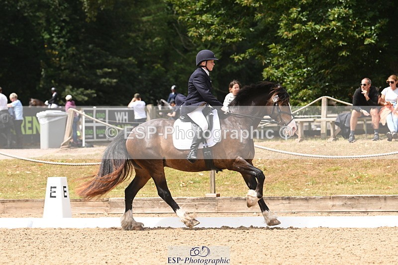 250720A-115950-10115 - 079-Amanda.Williams-Llanarth.Westminster