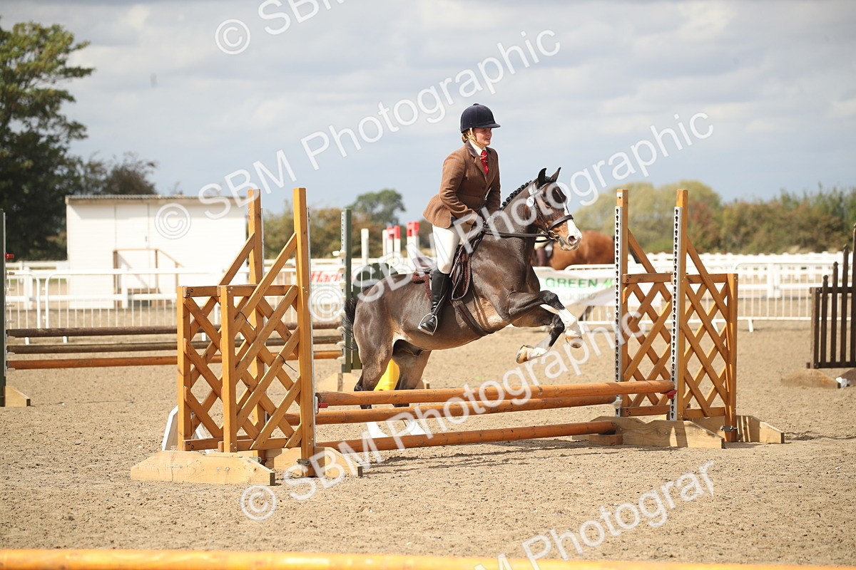 SBM_15270 - Class 506b - Working Veteran - 50cm (20+)