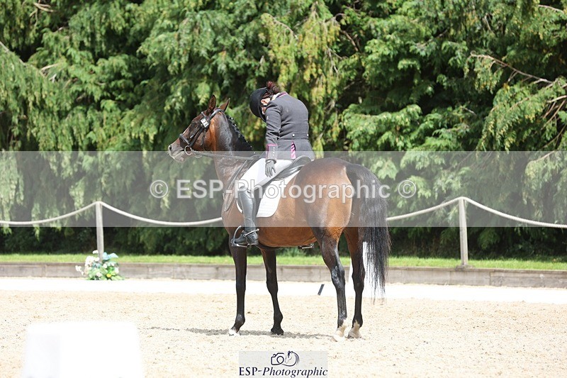 230812-135800-04355 - Cls 5 Novice Bronze 13.40 to 14.45 break