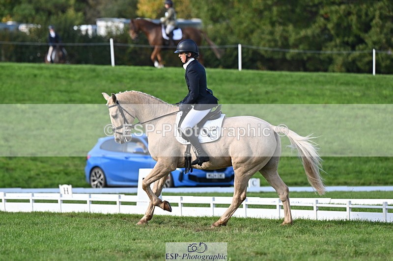 251024A-151019-13976 - E-395-Rolline.OCallaghan