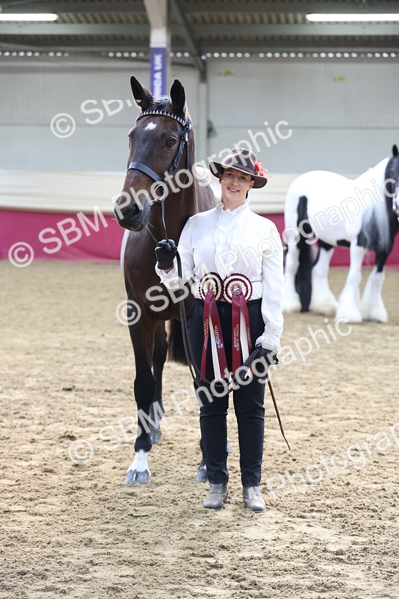 SBM_21911 - Class 901 - Supreme Final - IH  Diamond