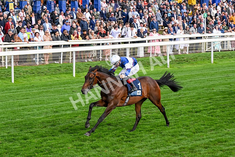 210826-Race 6-Benjamin Hornigold-0386 - Race 6 16.45pm British Stallion Studs EBF Convivial Maiden Stakes