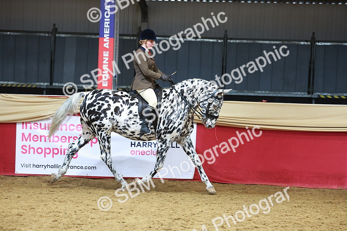 SBM_12404 - Class 103 - HOYS Veteran Qualifier - Ridden Pre Vet