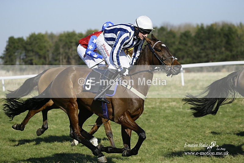 PtP 270222 64 - South & West Wilts Point-to-Point Larkhill 27/02/22