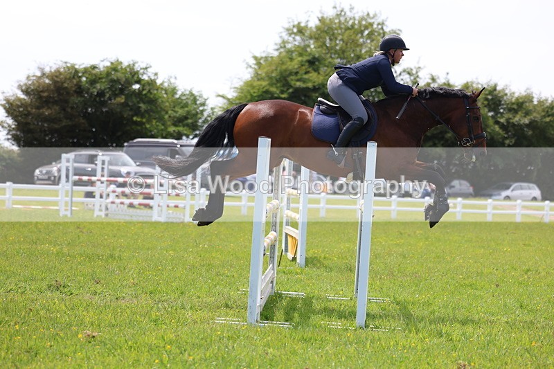 3E7A1382 - Class 12: Senior Foxhunter/1.20 open