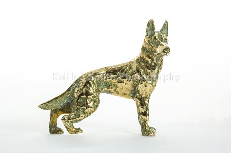 YR6M4025 - Studio Still Life