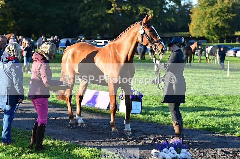 231022-085238-21418 - 648-FRIARSHILL.CHARLES-Caroline.Wilkinson-TrotUp+SJ