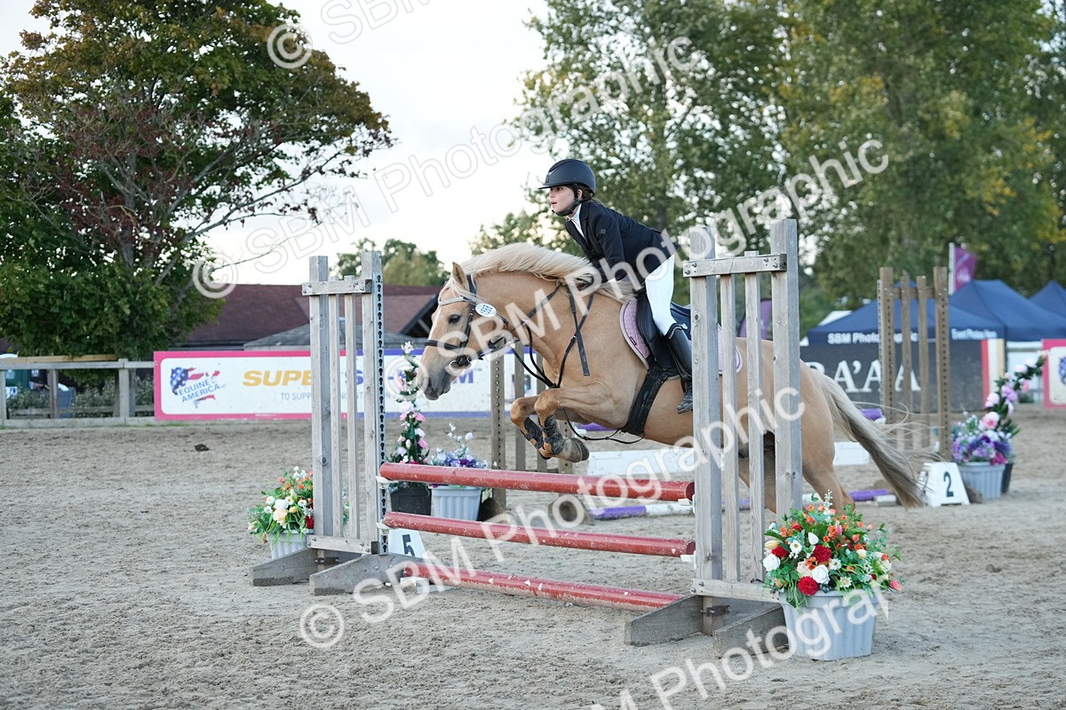SBM_54210 - Supreme Championship 60cm 65cm