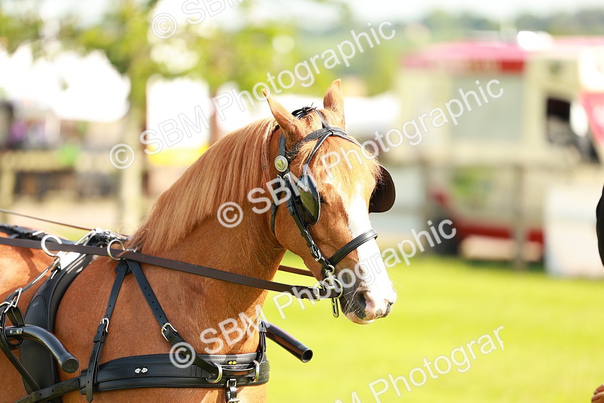SBM_00347 - Class 1 - Private Driving