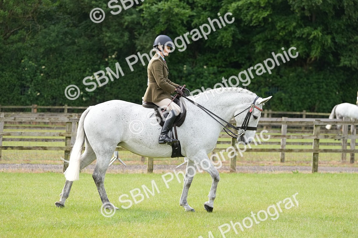 SBM_10565 - Class 97-98 - LIHS BSHA Rising Star Working Show Horse Hunter