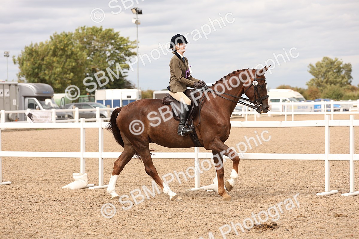 SBM_17294 - Class 213 - Ridden Hunter - Large