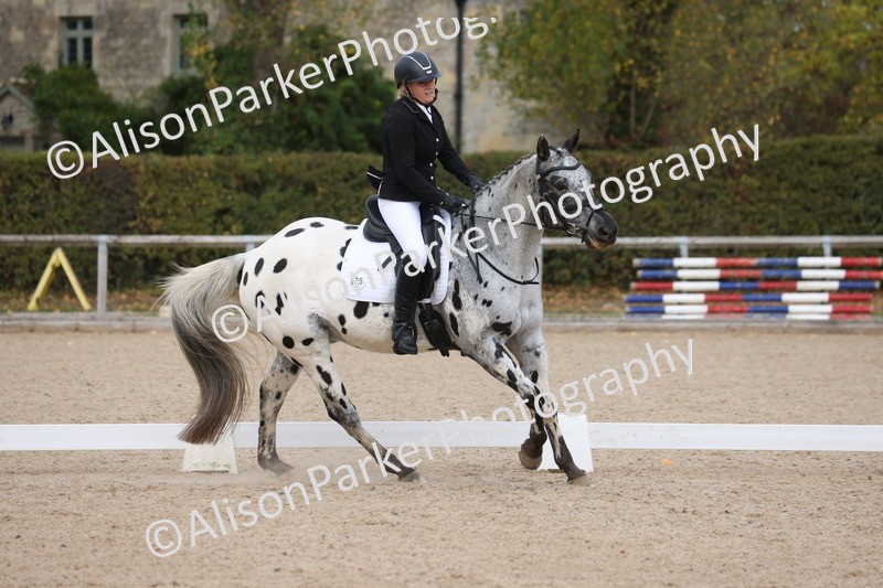 20261010-0700 - Class 6 - Novice 2