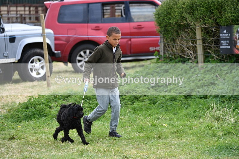 WJ5_9149 - Class 1 Best Cross Breed / Heniz 57