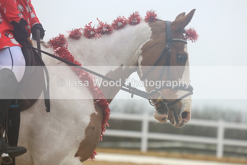 3E7A3338 - Class 1: Intro Section A