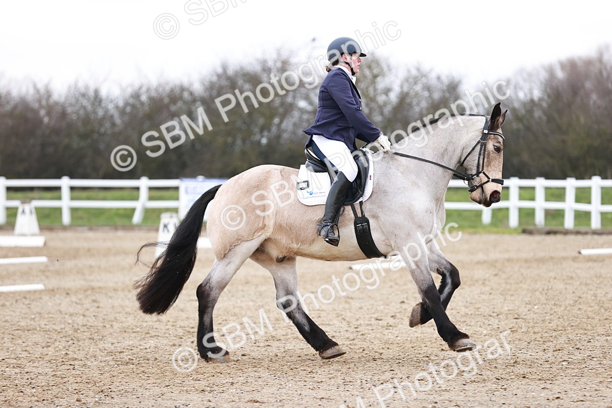 SBM_005227 - Elementary 1