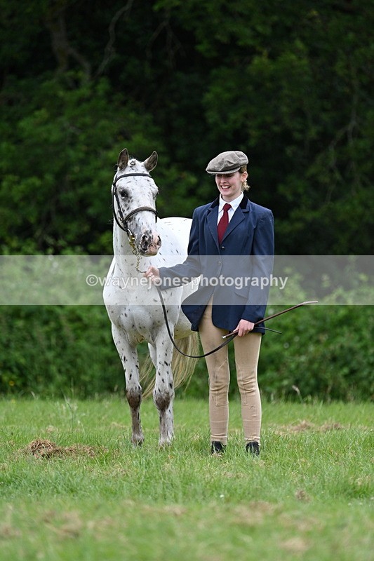 WJ7_4429 - Class 14B Prettiest Mare