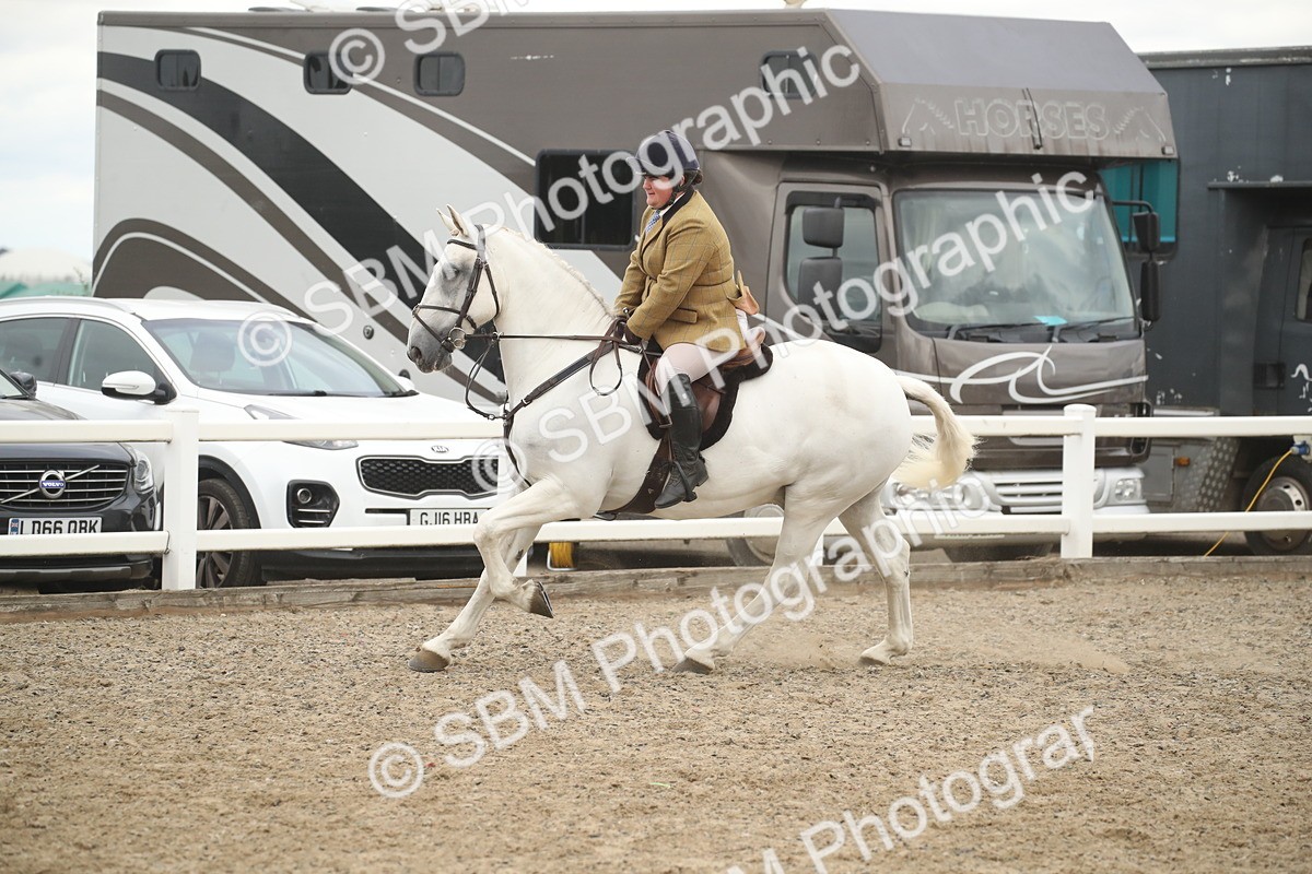 SBM_18250 - Class 509a - Working Veteran - 80cm (15-19)