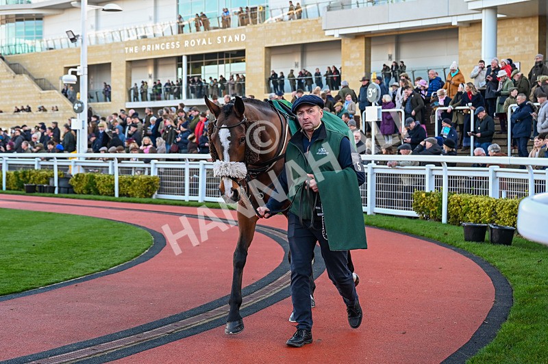 141224-Race 2-Transmission-0353