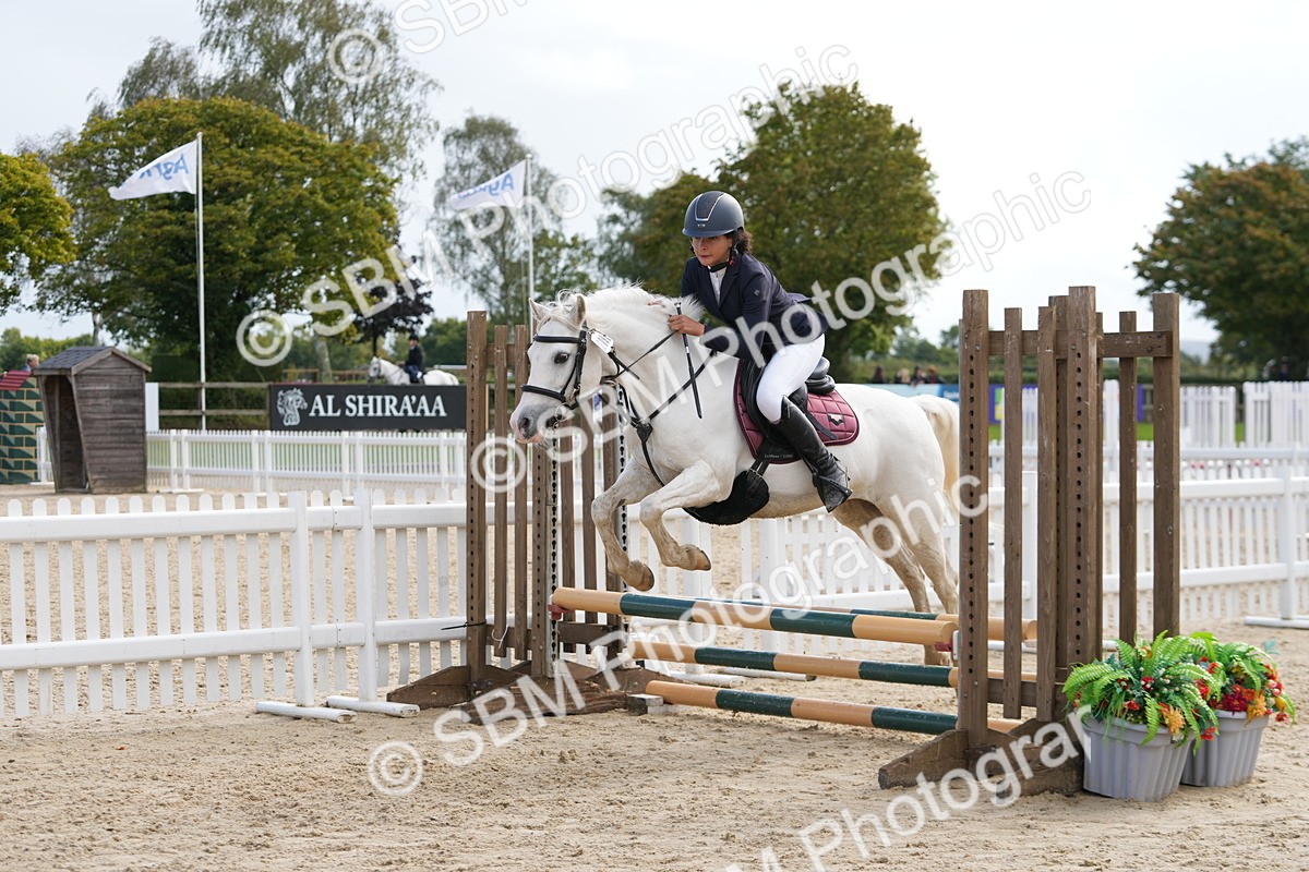 SBM_40803 - Supreme Championship Pony 50-55cm