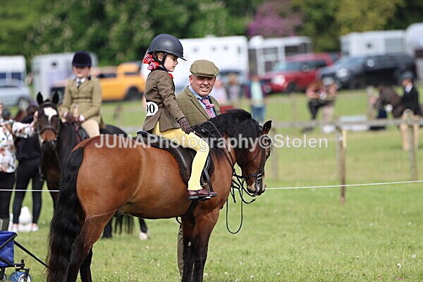 IMG_2320 - Working Hunter