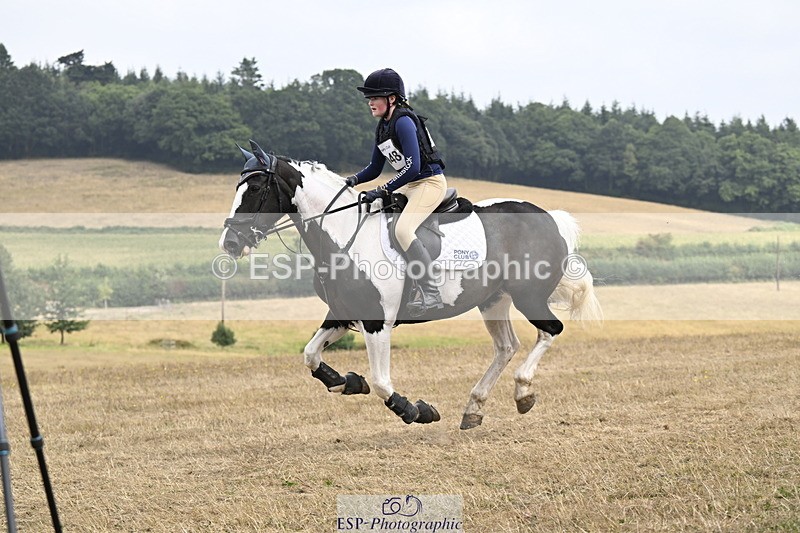 250824A-123247-36399 - 2048-Matilda.Trim-Mollie.IV