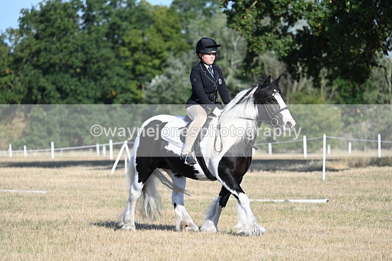 WJ7_8811 - Time 09:00 to 09:24