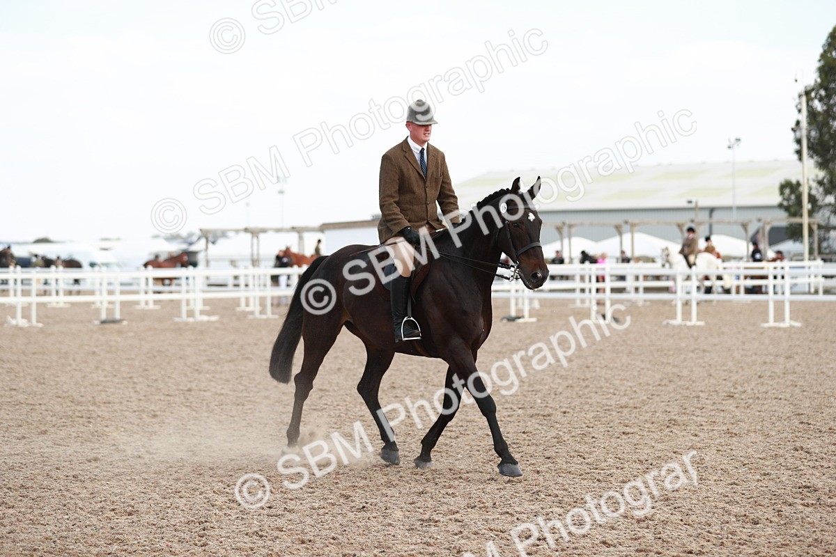 SBM_15518 - Class 213 Ridden Hunter -Large