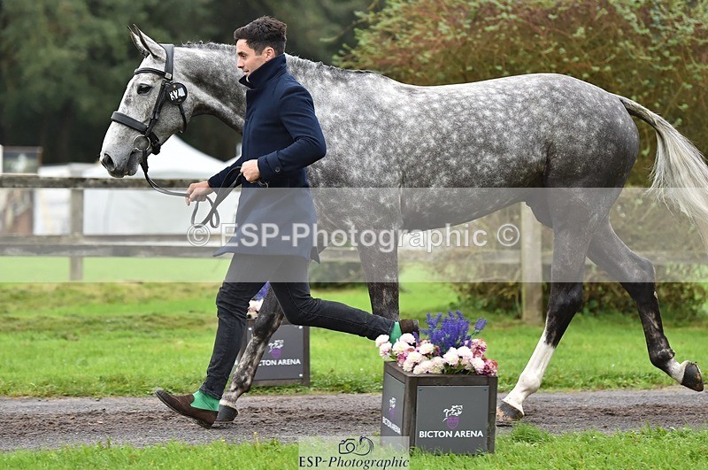 231018-122326-00256 - 032-COOLEY.ROCCO-Ben.Way-TrotUp