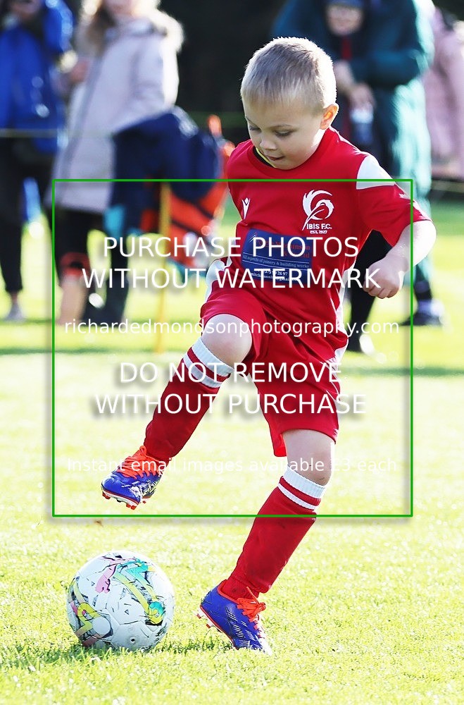 IMG_0247 - Ibis Under 7 vs Wattsfield Under 7 (28/9/24)