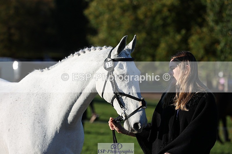 241027-084604-14807 - 313-Chloe.Chamulewicz-XYZ.BILL