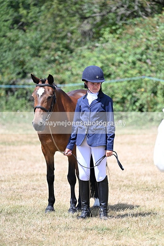 WJ7_2178 - Class 5 Most Handsome Gelding (up to 14.2hh) in hand