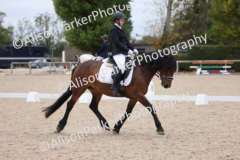 20250820-1103 - Class 17 - Elementary 4