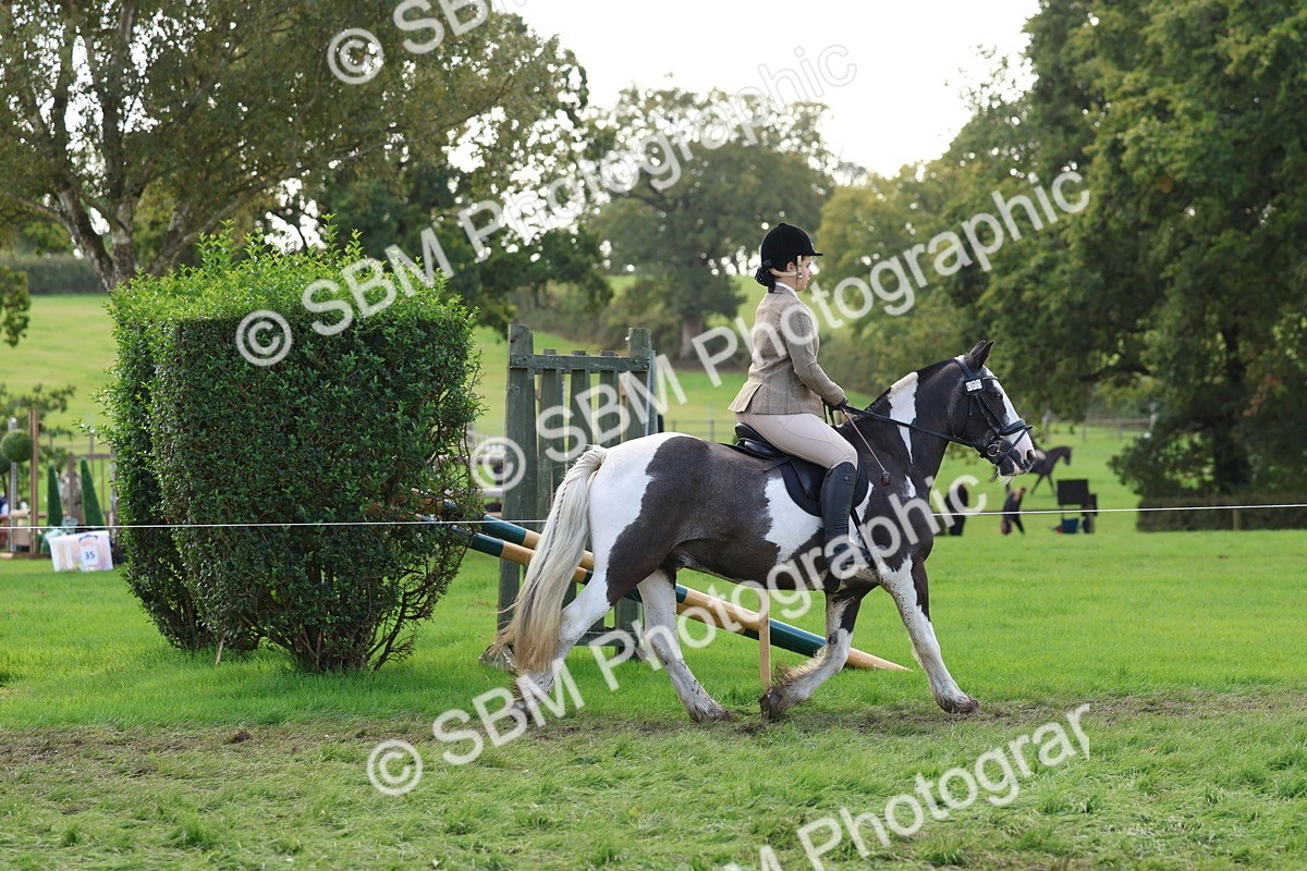 SBM_47608 - S28 - Veteran Ridden