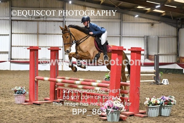 BPP_8637 - CLASS 1 Club/ Unaffiliated 80cms Open