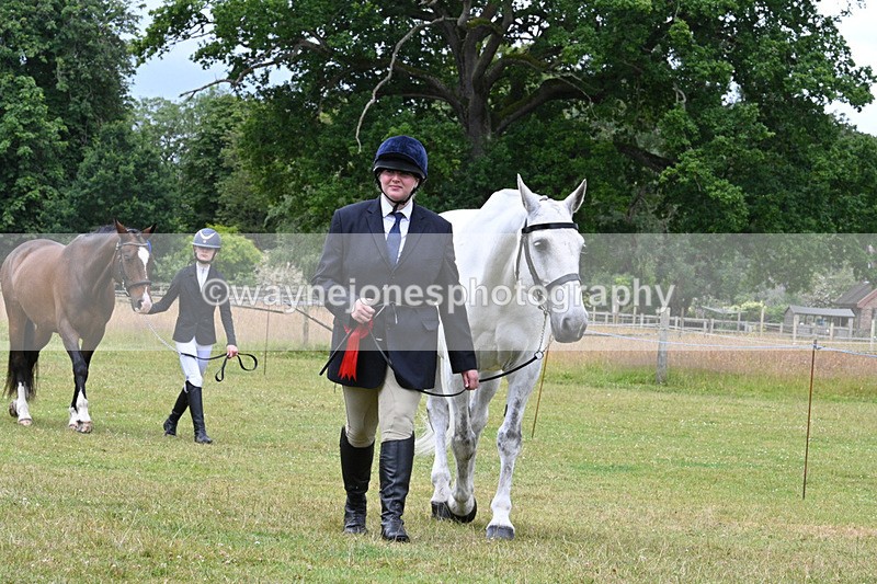 WJ7_7254 - Champs