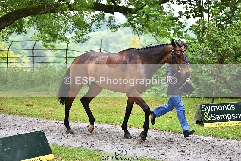 240522-164938-01179 - 260-WATERVALLEY_ROYAL_GUY-Harry_Meade