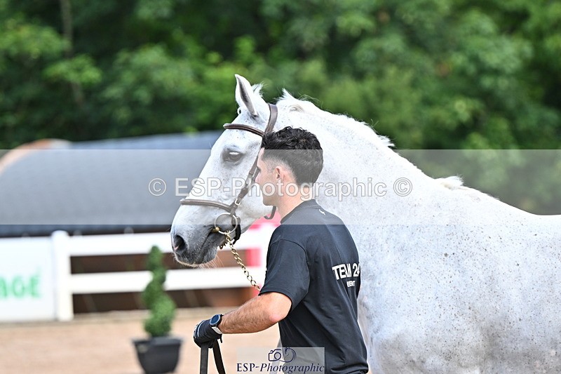 240718A-105254-01309 - Trot Up 12pm to 1pm