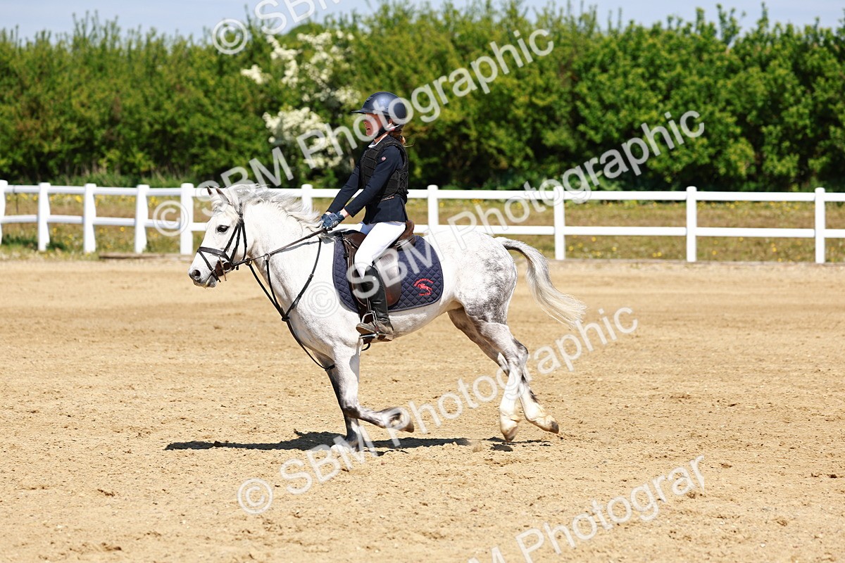 SBM_007538 - Class 3 - 60cm