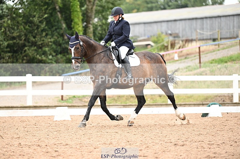 240815A-133137-01554 - 205-Donna.Boyd-Vagebond.vd.Withoeve.Z