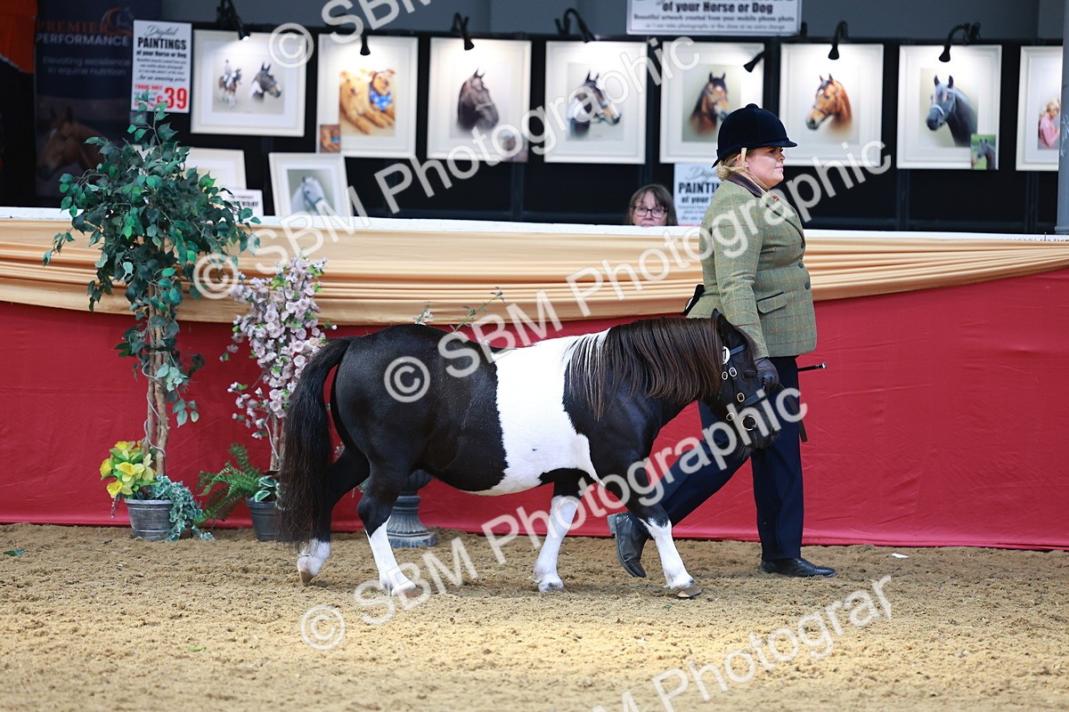SBM_04169 - Class 9R - IH Pre-Vet