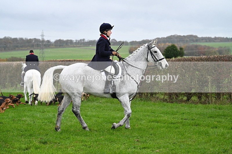 WJ7_8763 - Meet Staff & Hounds