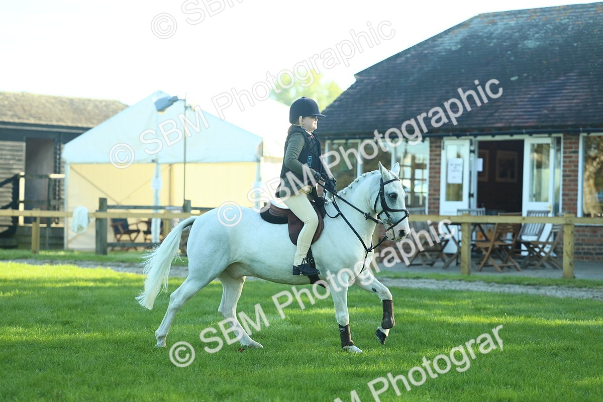 SBM_36275 - S29 - Novice & Newcomers Working Hunter Pony