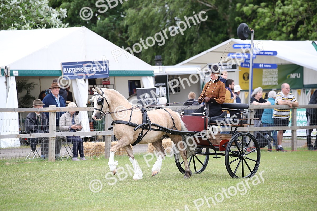 SBM_05643 - Class 12-15 - HOYS Private Driving