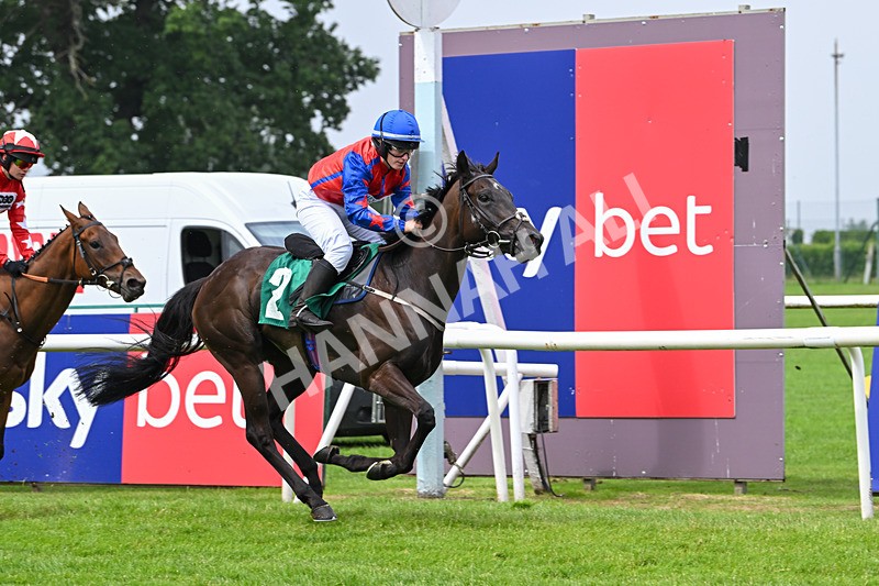 250725-Graham Lee IJF Stable Staff Stakes-E-3933 - The Graham Lee IJF Fund Stable Staff Stakes