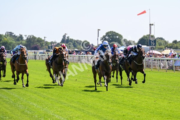 110725-Race 2-Sayidah Dariyan-0209 - Race 2 2.45pm William Hill Summer Stakes