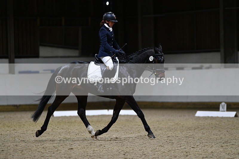 WJ5_8848 - Class 5 Novice Test 3