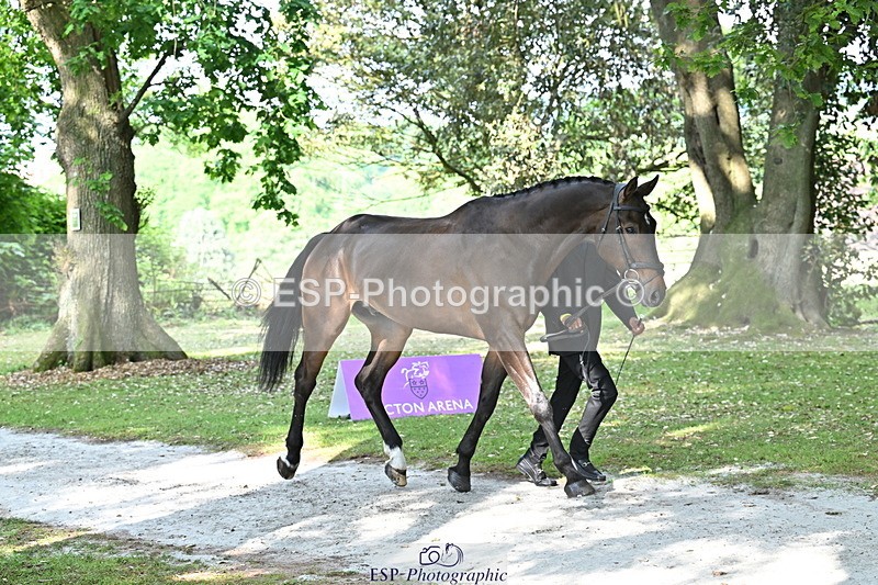 250521A-164301-01295 - C-255-Rupert.Hyde-LEONIDAS.VAN.DE.CRUMELHAEVE
