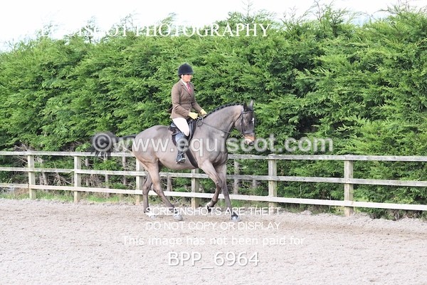 BPP_6964 - RING 1  (RIDDEN HORSES / IN HAND / VETERAN ETC)