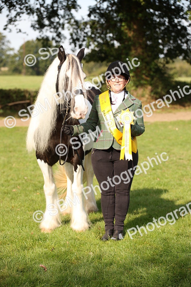 SBM_61215 - S54 - Show Cob In Hand