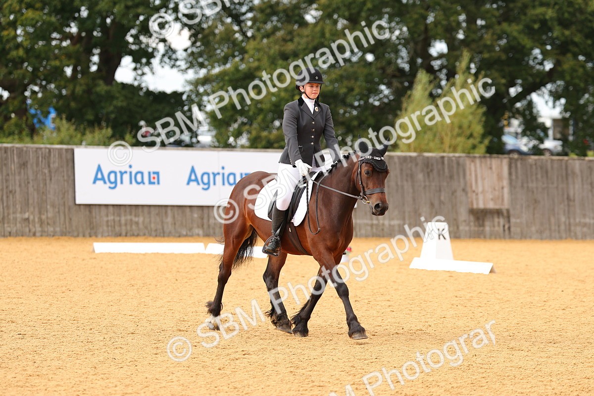 SBM_48243 - D22 - Junior Championship - Intro B